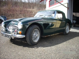 austin healey